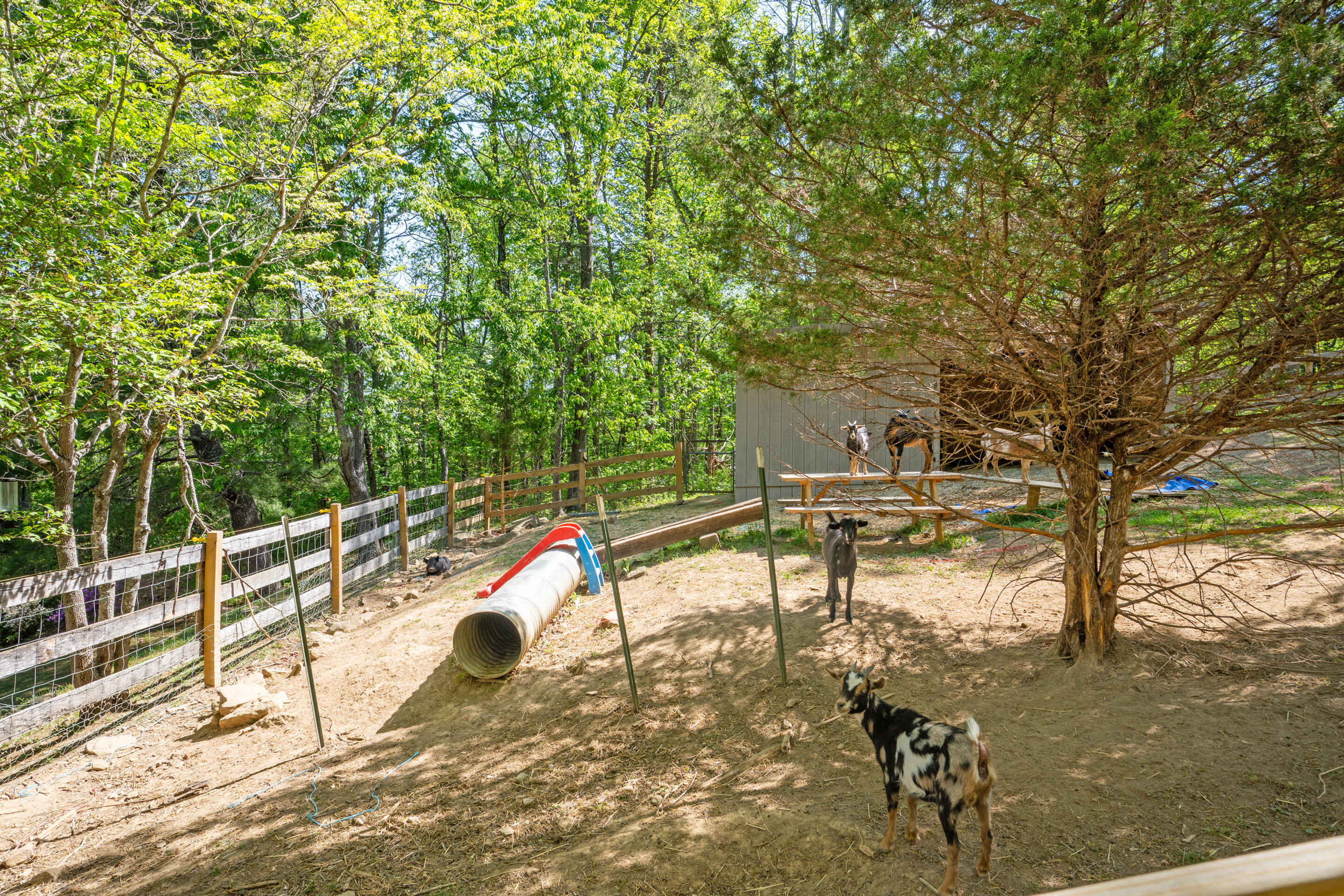 12639 Catawba Road Troutville, VA 24175 - Photo 47 of 94 83-12639-Catawba-Rd-Troutville