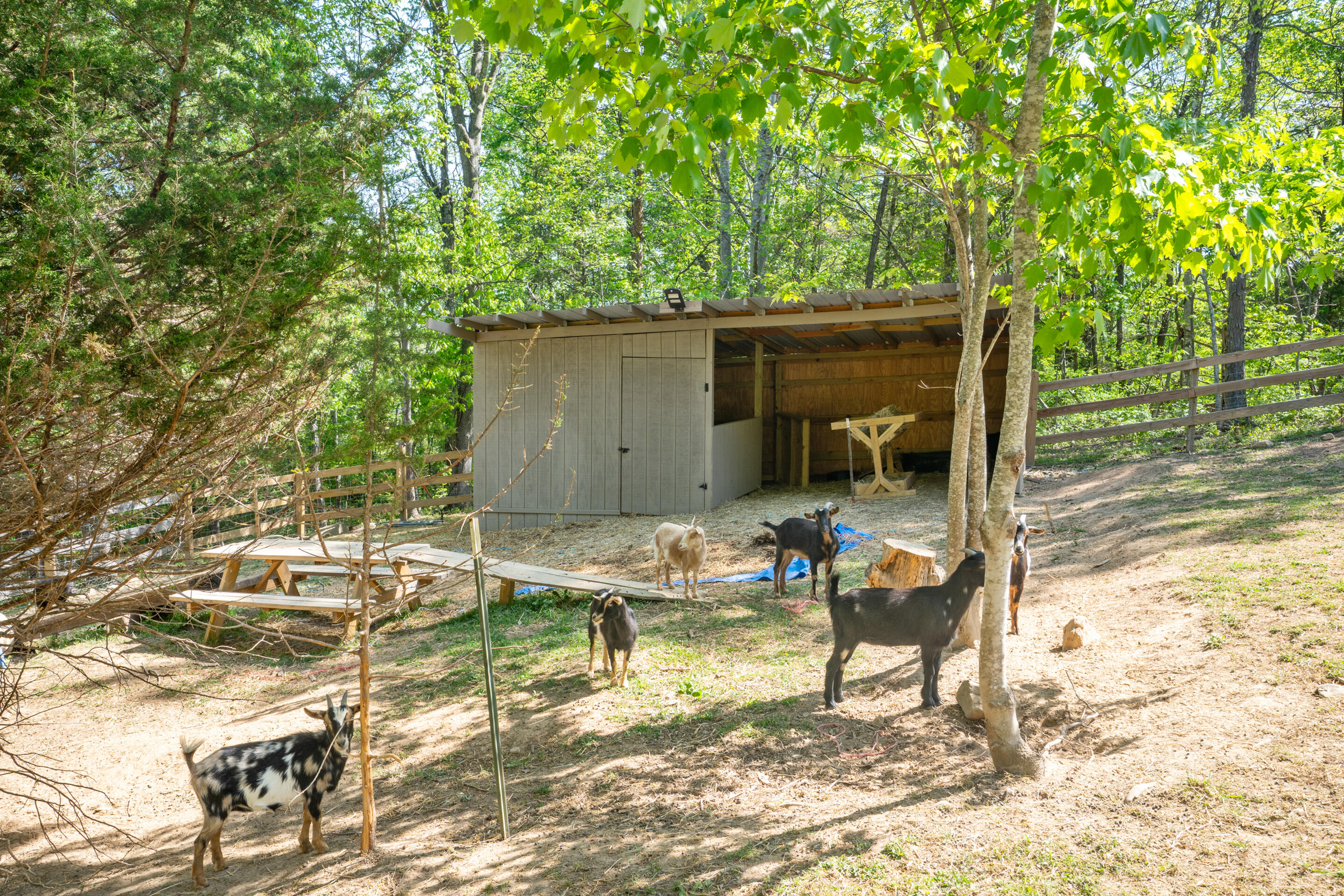 12639 Catawba Road Troutville, VA 24175 - Photo 48 of 94 84-12639-Catawba-Rd-Troutville