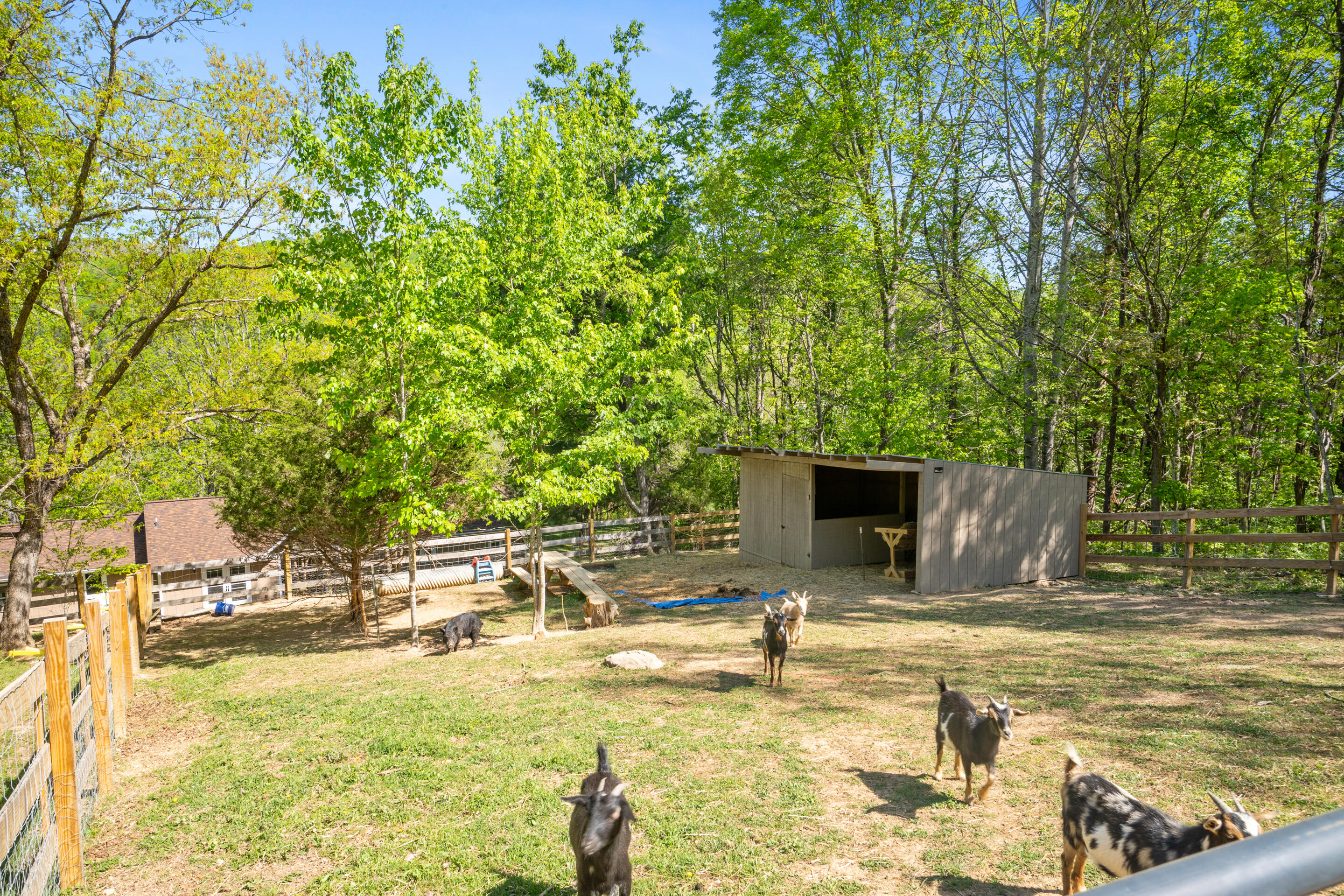 12639 Catawba Road Troutville, VA 24175 - Photo 49 of 94 85-12639-Catawba-Rd-Troutville