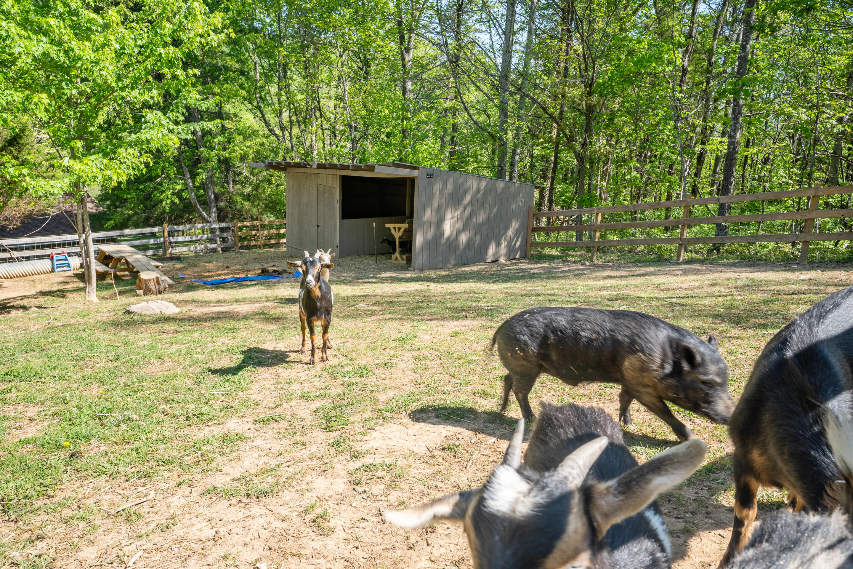 12639 Catawba Road Troutville, VA 24175 - Photo 50 of 94 86-12639-Catawba-Rd-Troutville
