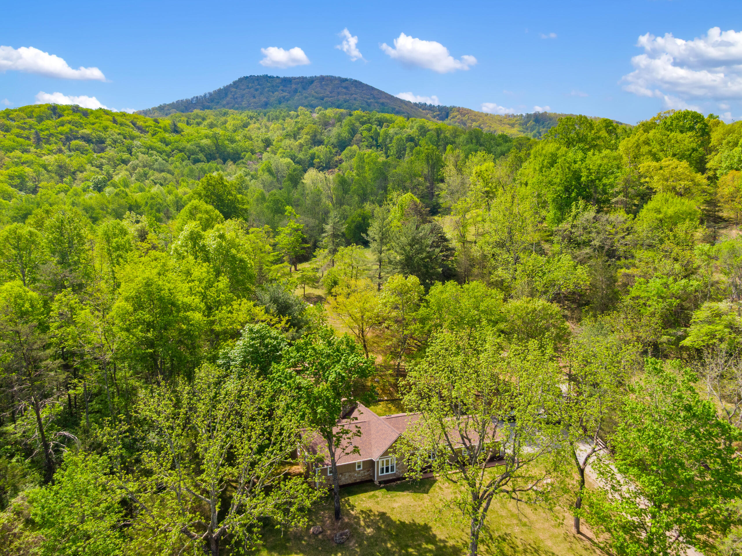 12639 Catawba Road Troutville, VA 24175 - Photo 61 of 94 24-12639-Catawba-Rd-Troutville