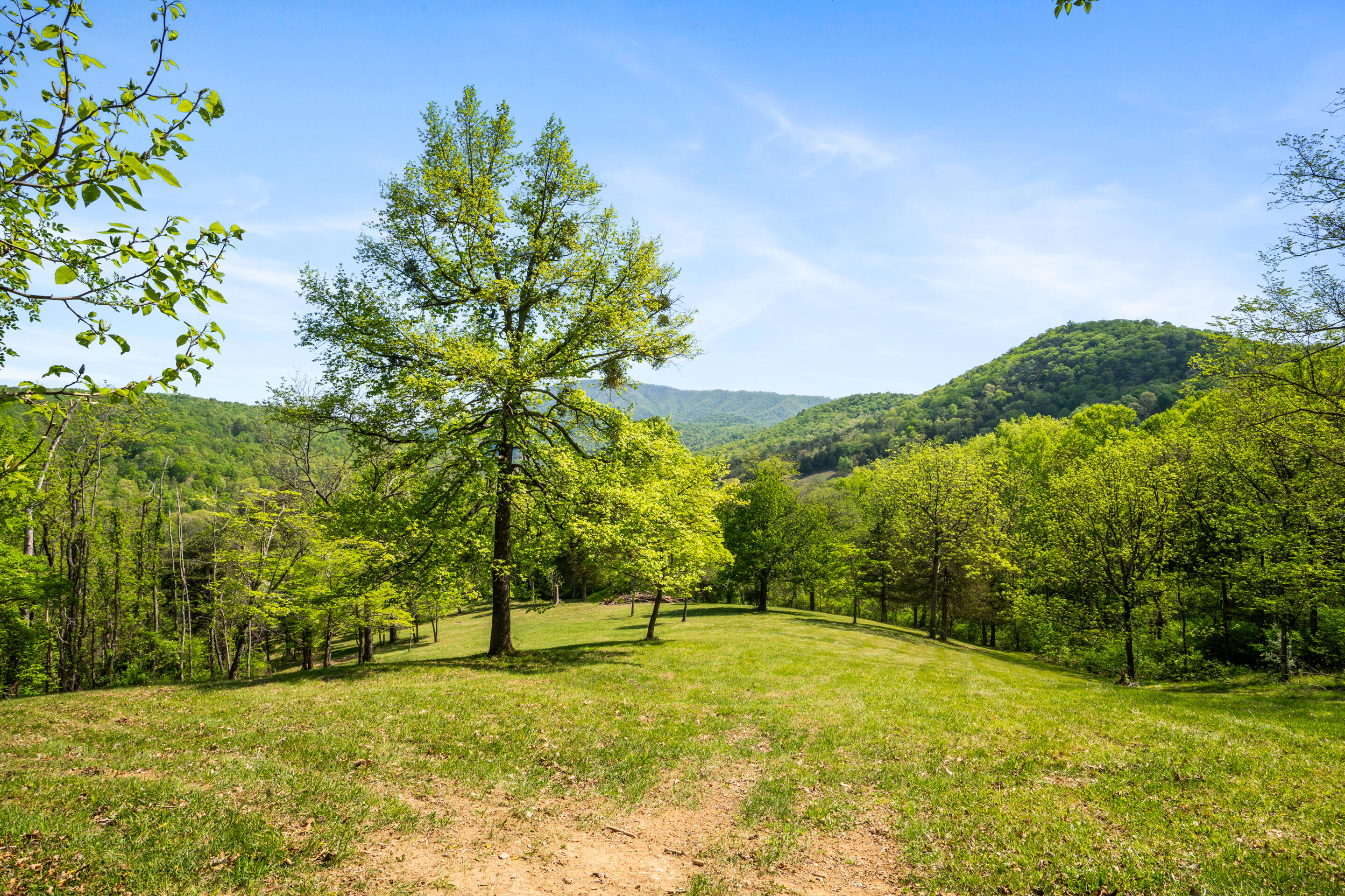 12639 Catawba Road Troutville, VA 24175 - Photo 66 of 94 89-12639-Catawba-Rd-Troutville