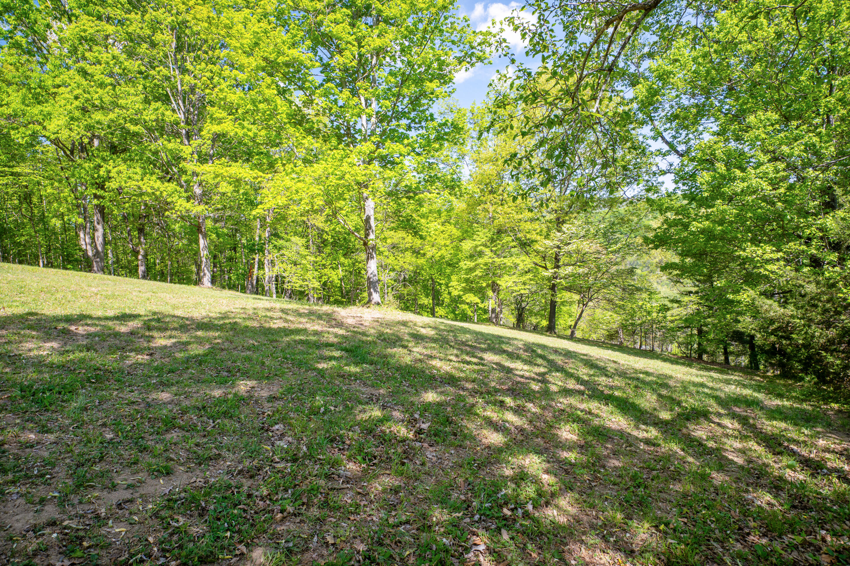 12639 Catawba Road Troutville, VA 24175 - Photo 69 of 94 92-12639-Catawba-Rd-Troutville