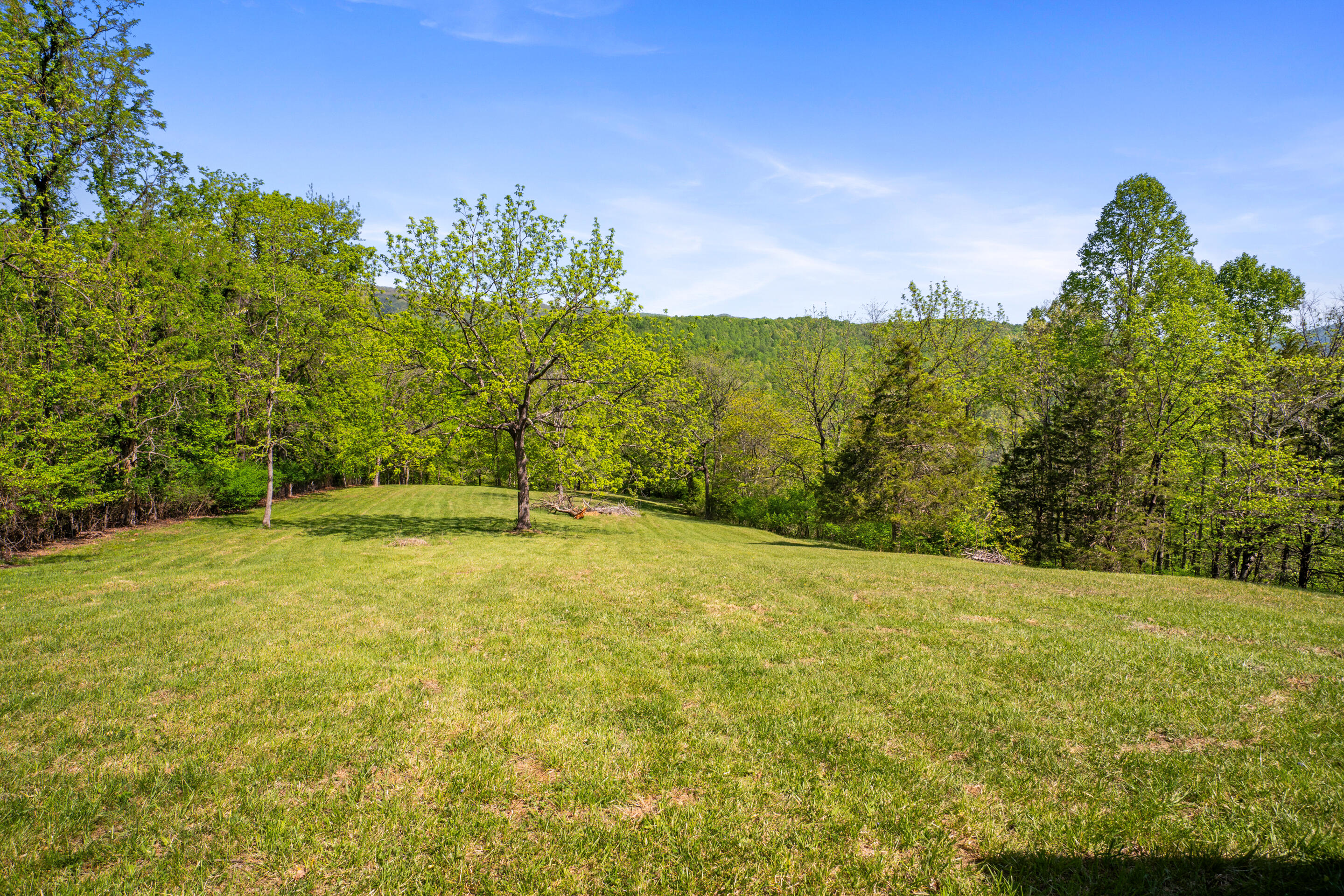 12639 Catawba Road Troutville, VA 24175 - Photo 70 of 94 93-12639-Catawba-Rd-Troutville