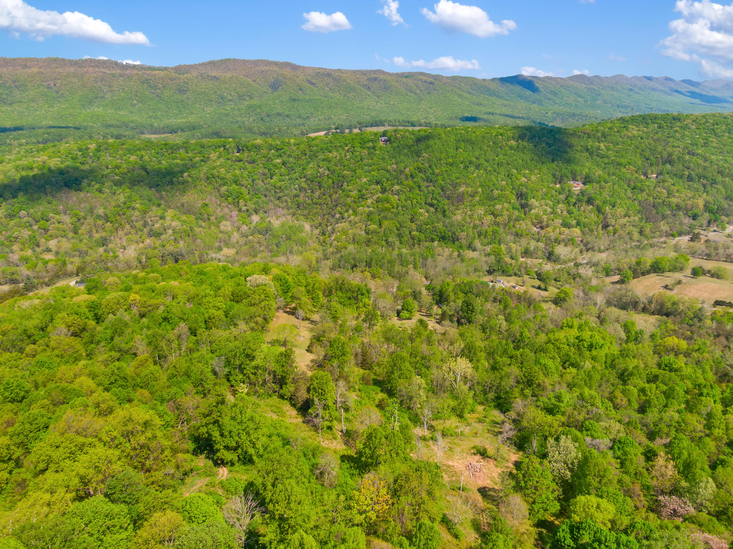 12639 Catawba Road Troutville, VA 24175 - Photo 79 of 94 9-12639-Catawba-Rd-Troutville
