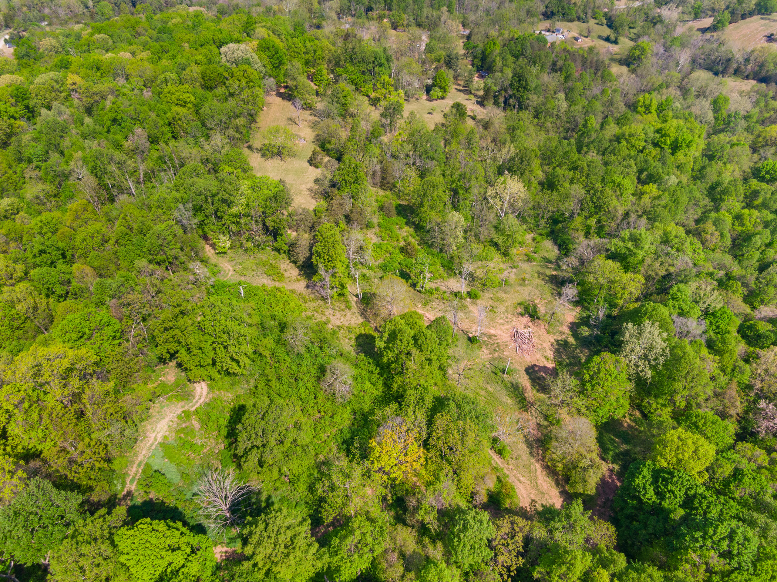 12639 Catawba Road Troutville, VA 24175 - Photo 80 of 94 10-12639-Catawba-Rd-Troutville