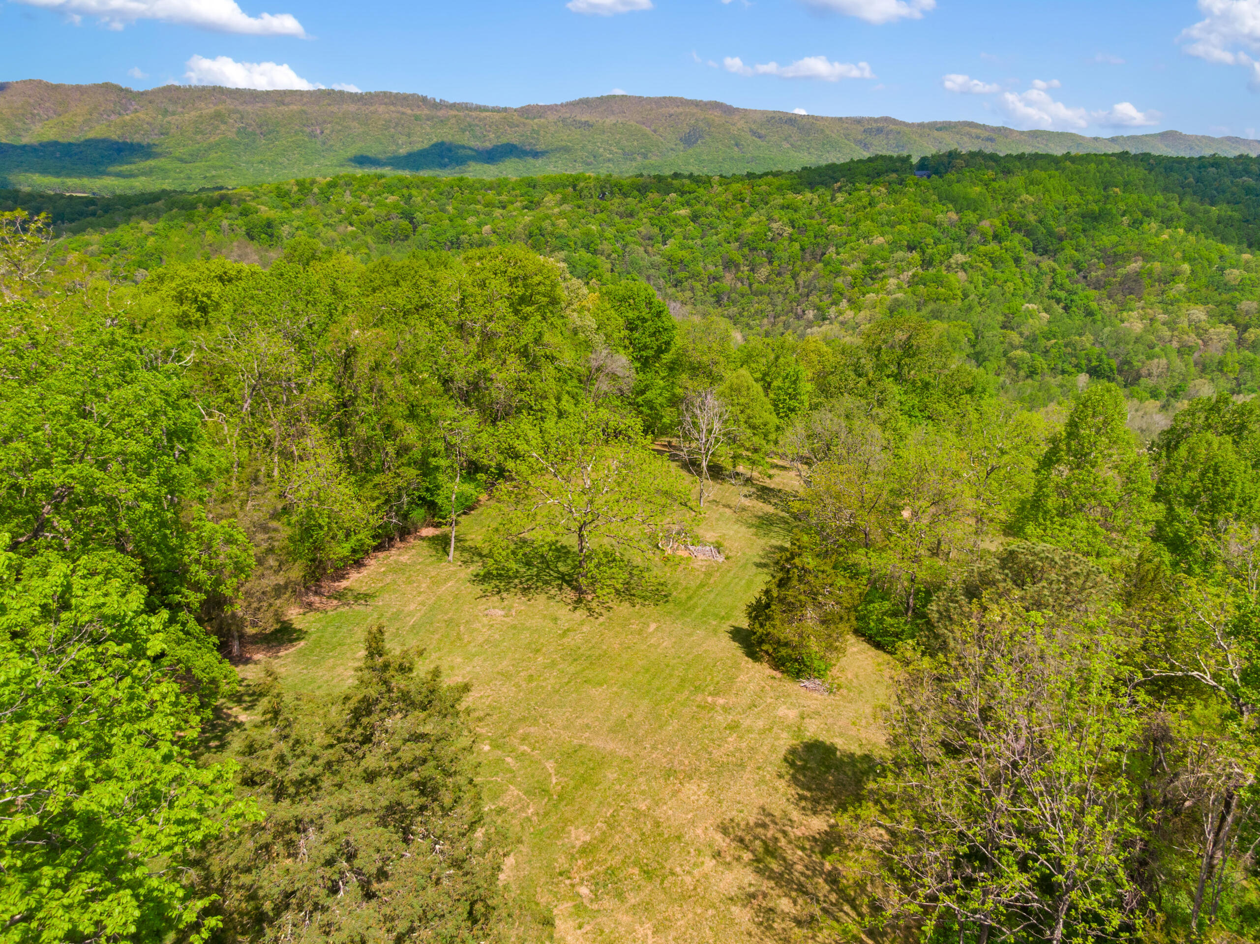 12639 Catawba Road Troutville, VA 24175 - Photo 85 of 94 15-12639-Catawba-Rd-Troutville
