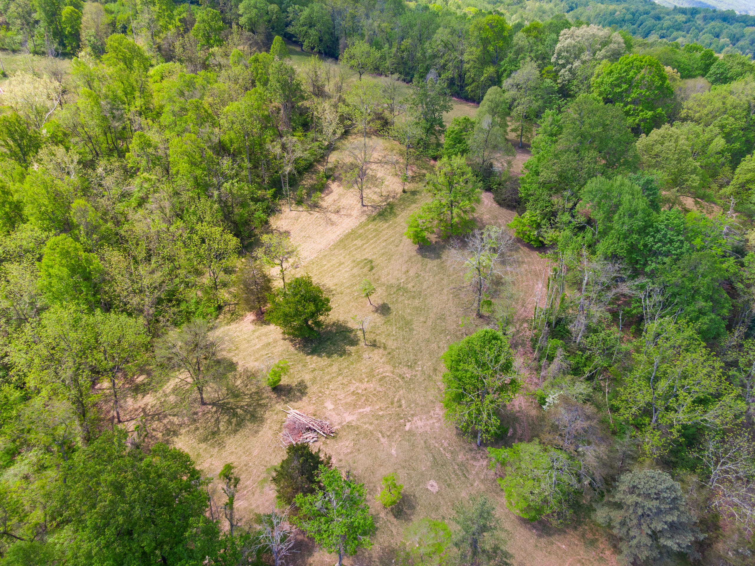 12639 Catawba Road Troutville, VA 24175 - Photo 87 of 94 17-12639-Catawba-Rd-Troutville