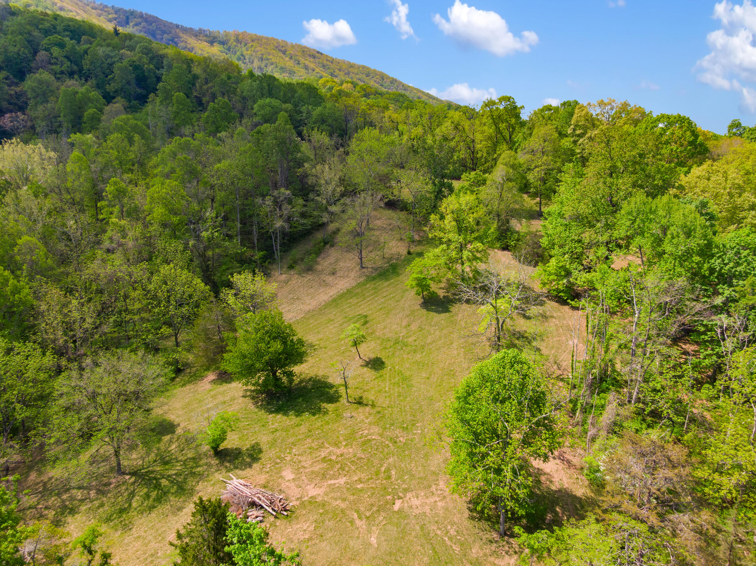 12639 Catawba Road Troutville, VA 24175 - Photo 88 of 94 18-12639-Catawba-Rd-Troutville