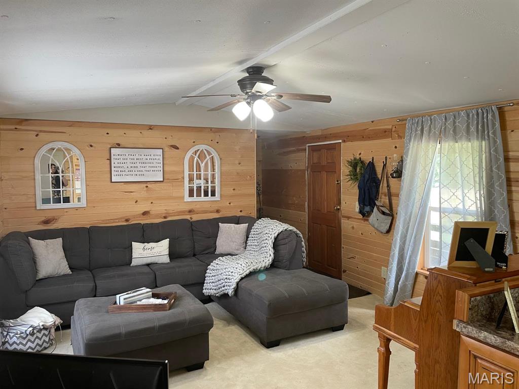 237 County Road 418 Ellsinore, MO 63937 - Photo 4 of 7