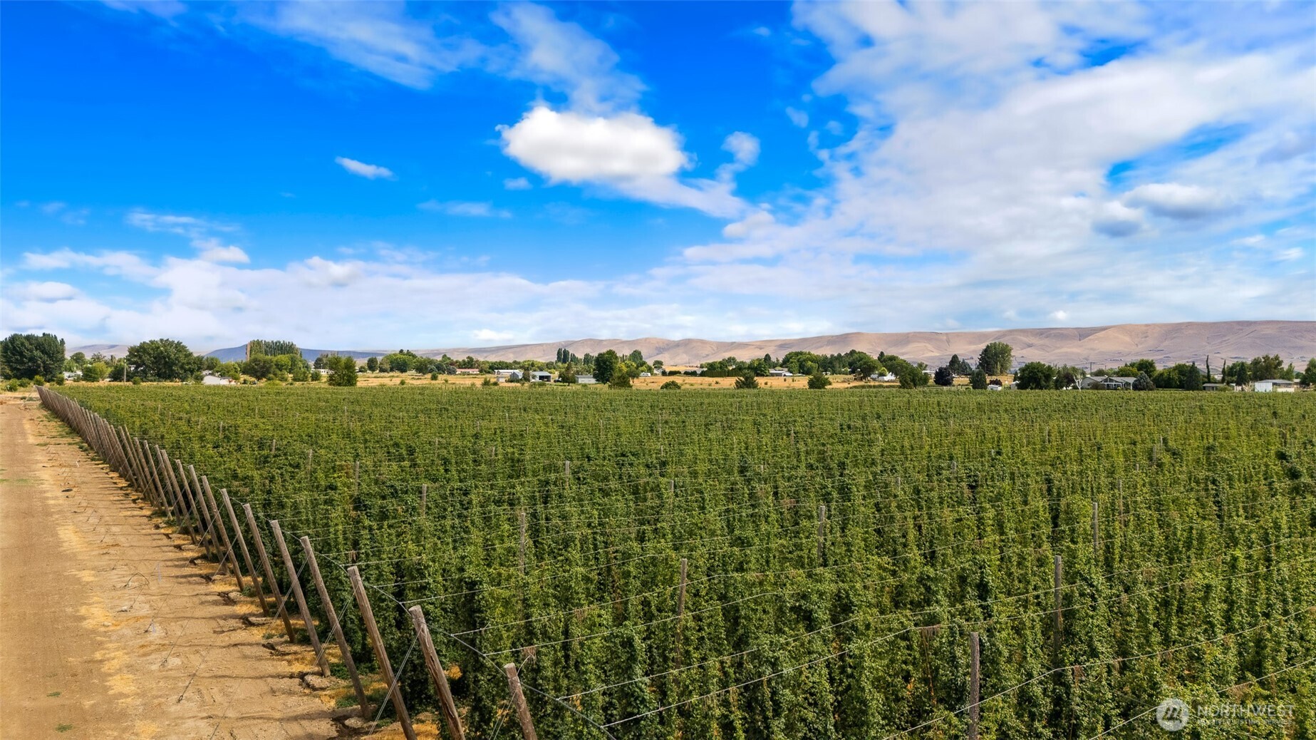 1 Apricot Road Grandview, WA 98930 - Photo 3 of 4 a view of a city