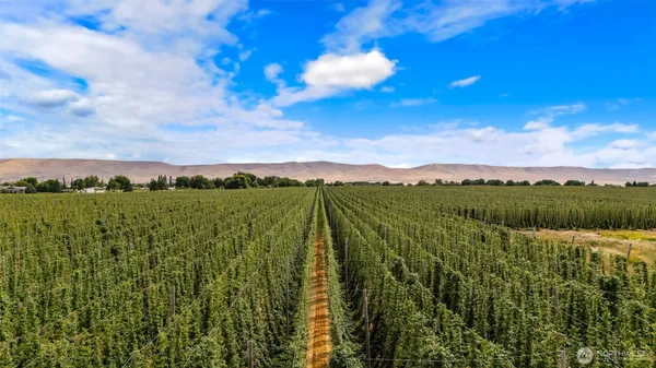 $349,900 | 1 Apricot Road, Grandview, WA 98930