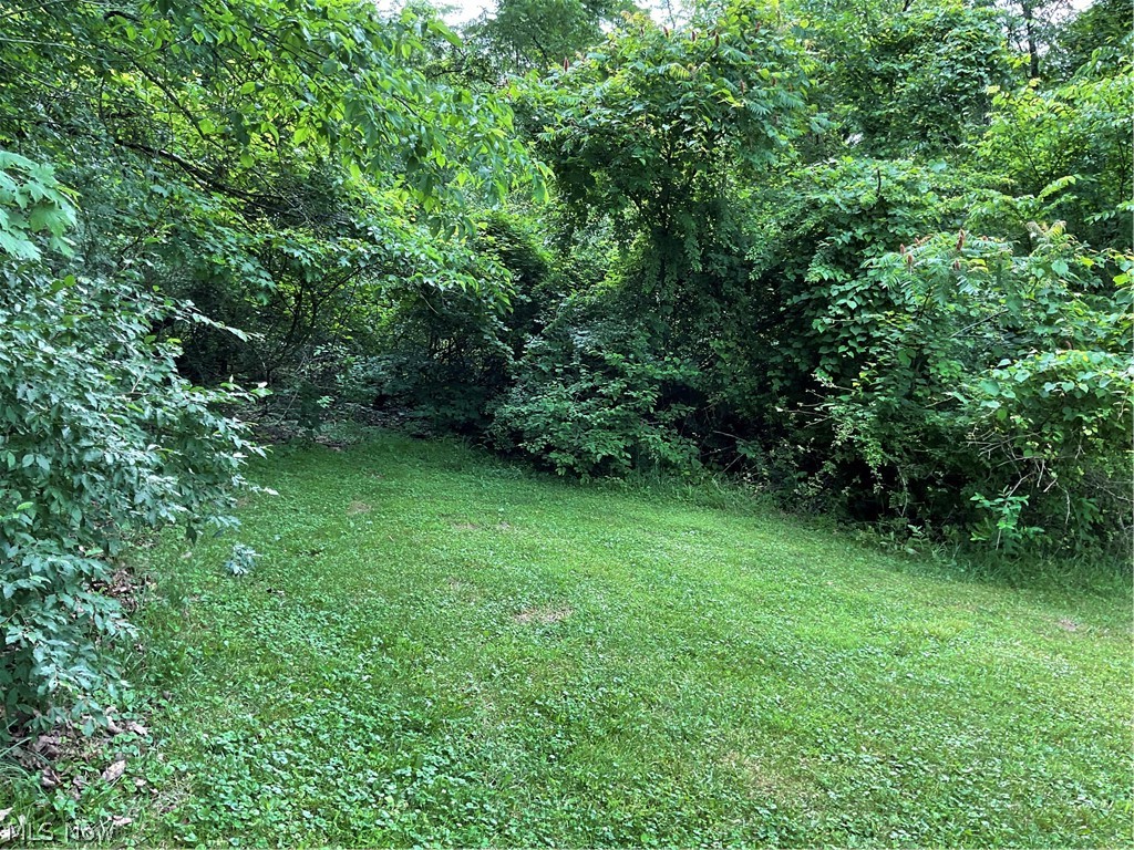 2345 Heldman Road Wingett Run, OH 45789 - Photo 31 of 39