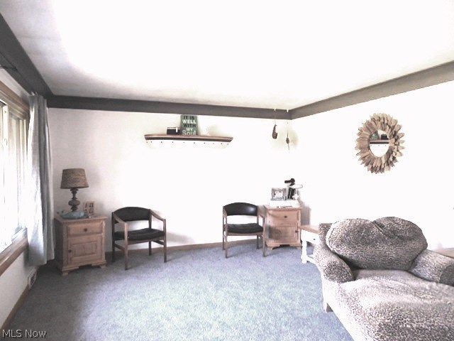 10163 Prospect Road Strongsville, OH 44149 - Photo 25 of 25 Gallery Image 25