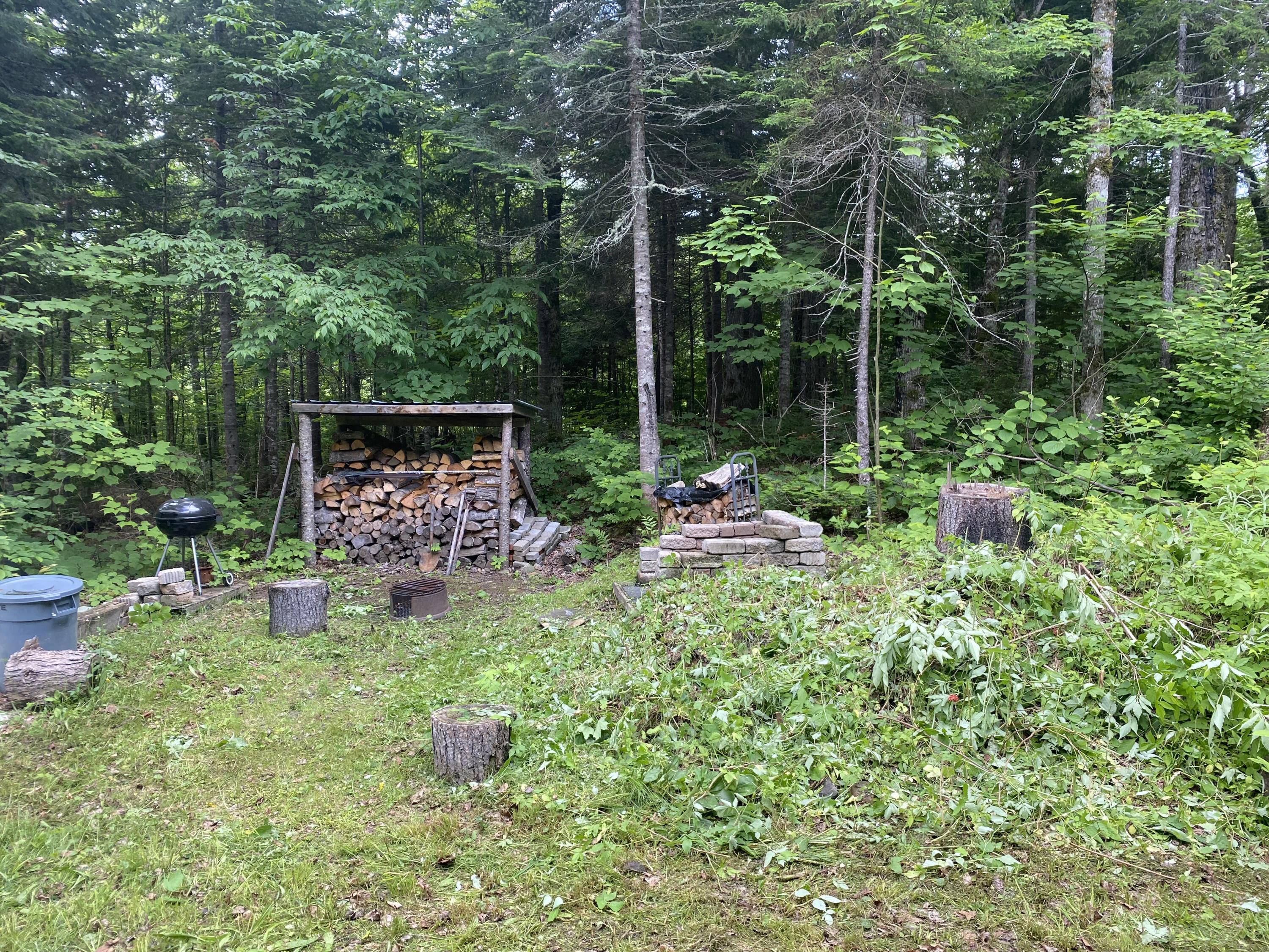 999 Off Bogan Brook Road Mapleton, ME 04757 - Photo 5 of 10 IMG_2714