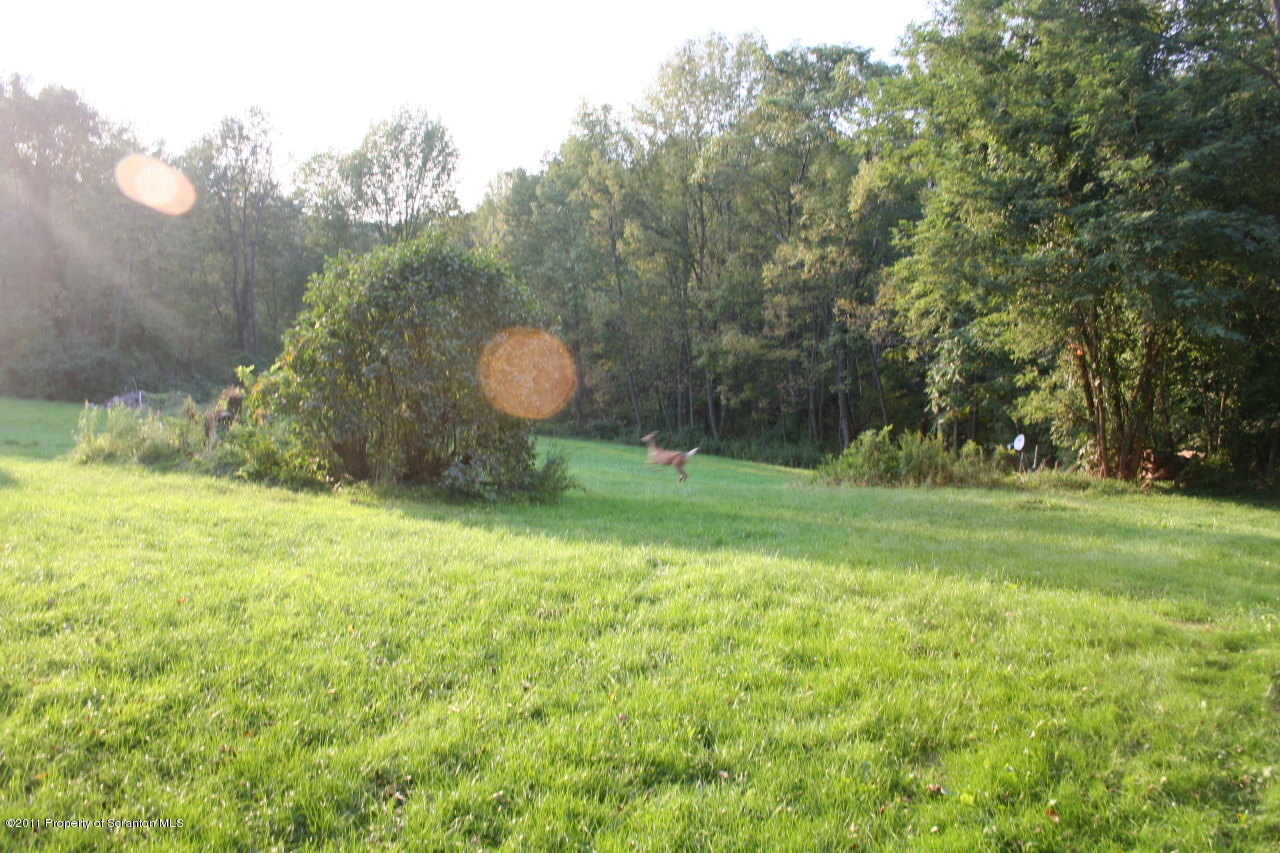 345 Stone Road Dalton, PA 18414 - Photo 20 of 26 Gallery Image 20