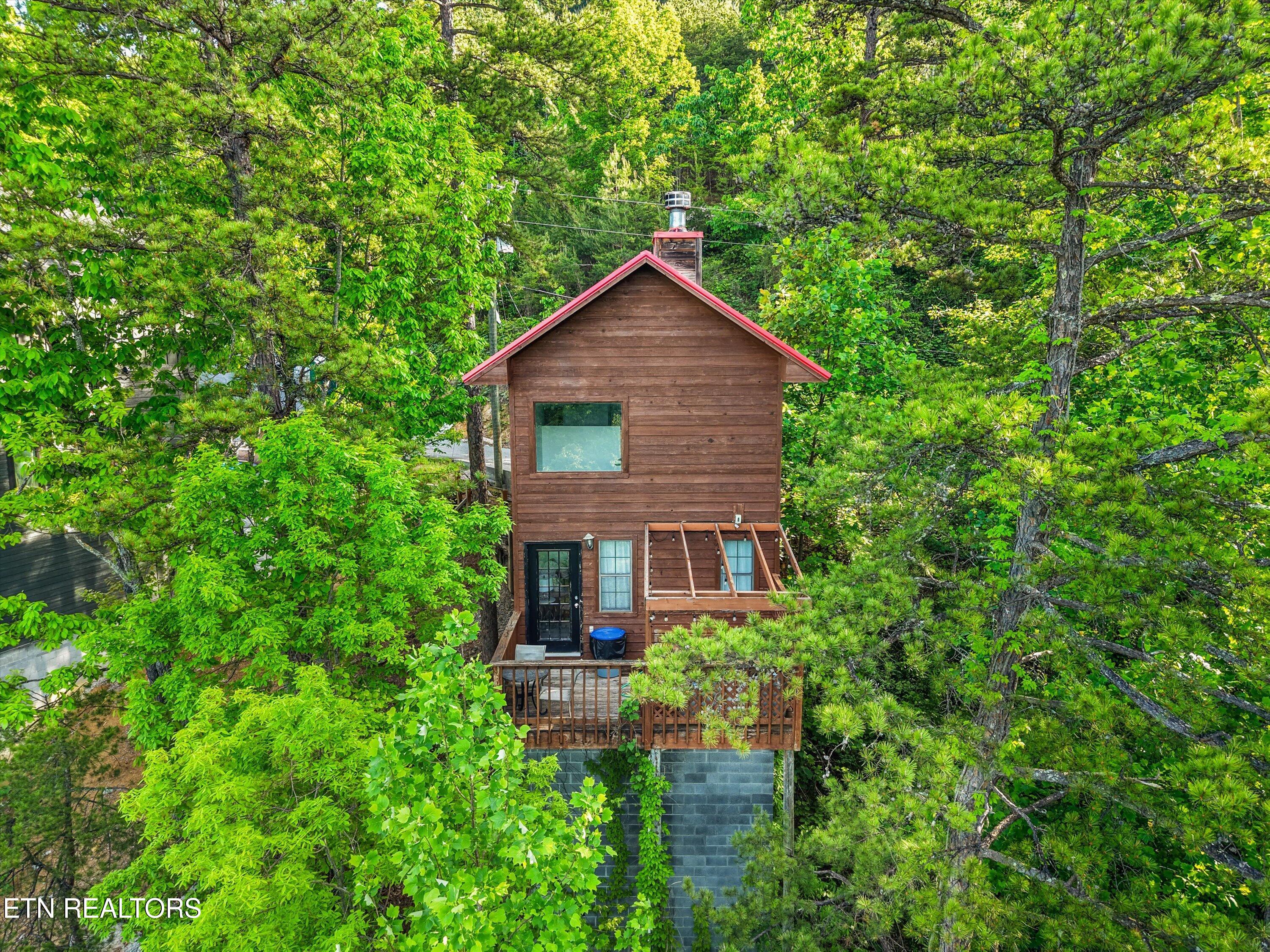 1809 Red Bone Way Sevierville, TN 37876 - Photo 18 of 20 Aeriel View
