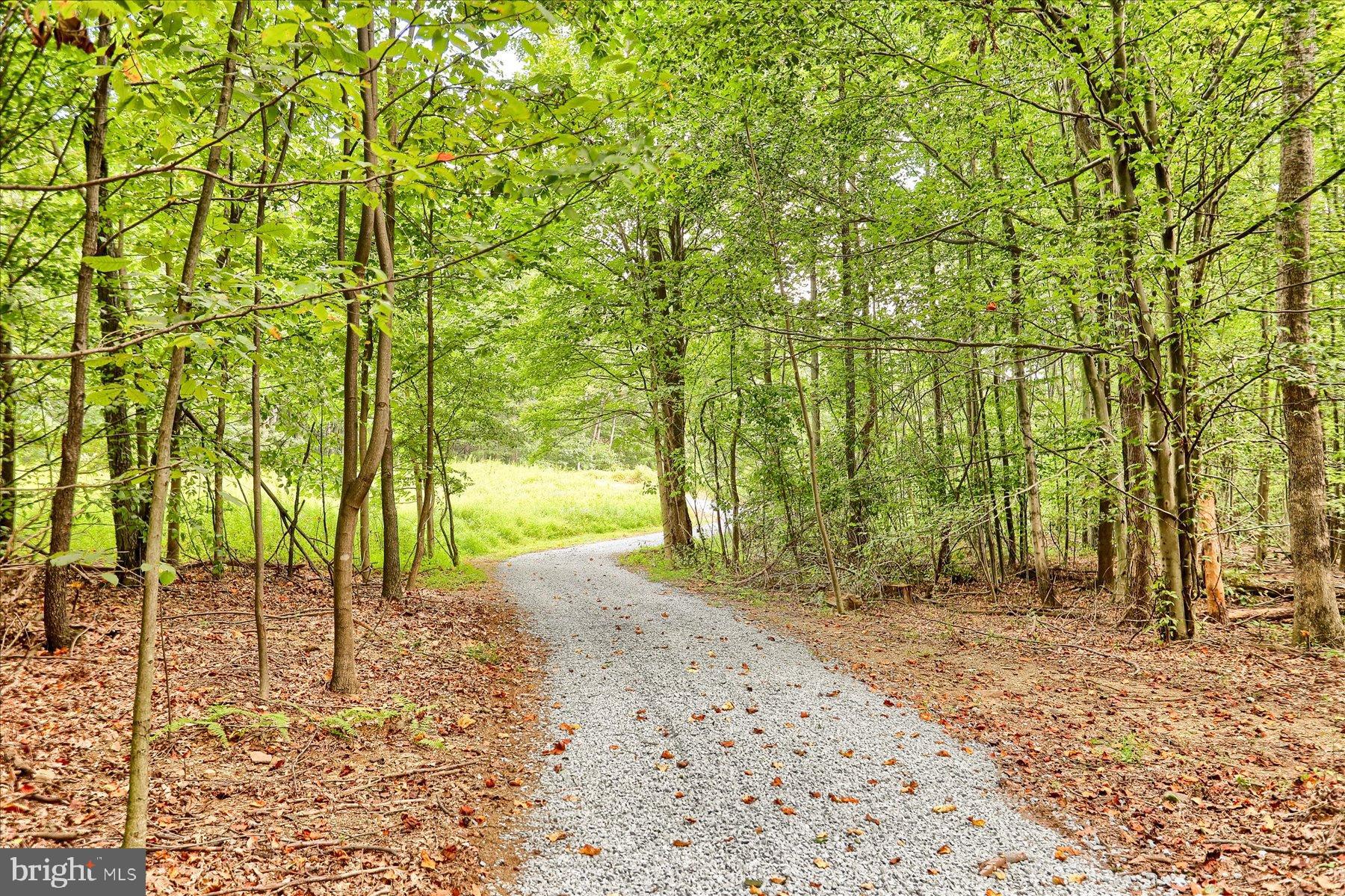 0 Pheasant Road Harrisburg, PA 17112 - Photo 1 of 42 a view of a yard with plants