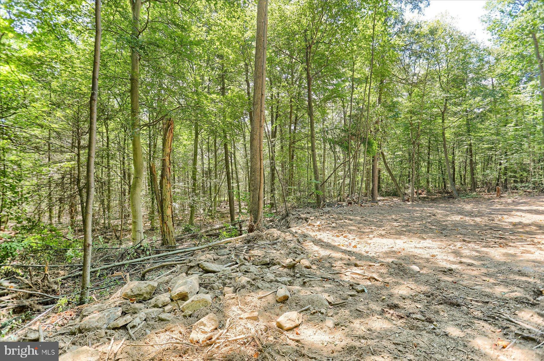 0 Pheasant Road Harrisburg, PA 17112 - Photo 11 of 42 a view of backyard with green space