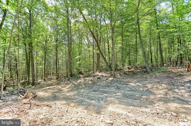 a view of outdoor space with trees