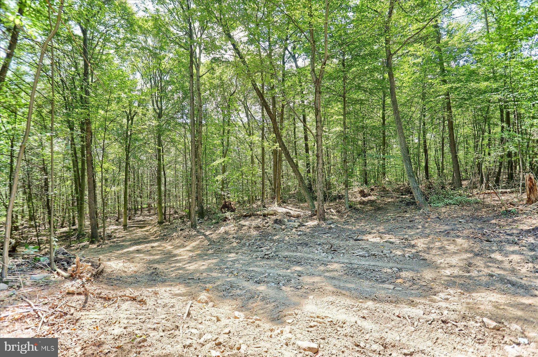 0 Pheasant Road Harrisburg, PA 17112 - Photo 12 of 42 a view of outdoor space and green space