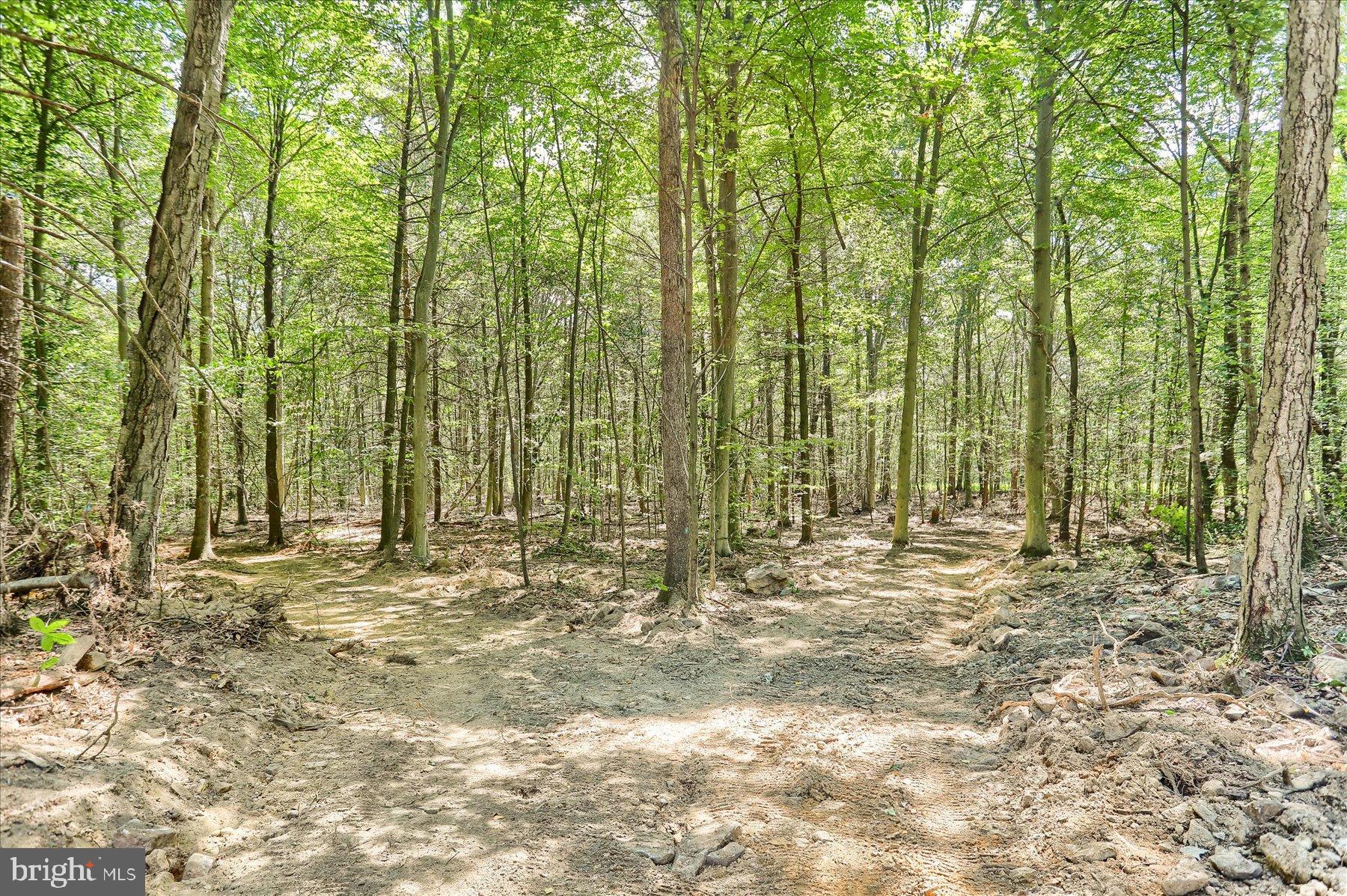 0 Pheasant Road Harrisburg, PA 17112 - Photo 13 of 42 a view of outdoor space with trees