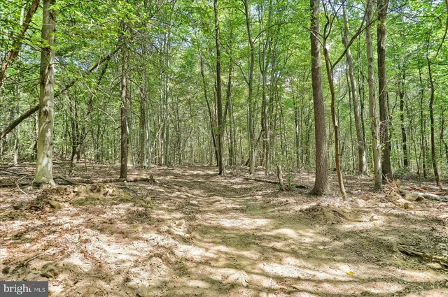 a view of outdoor space with trees