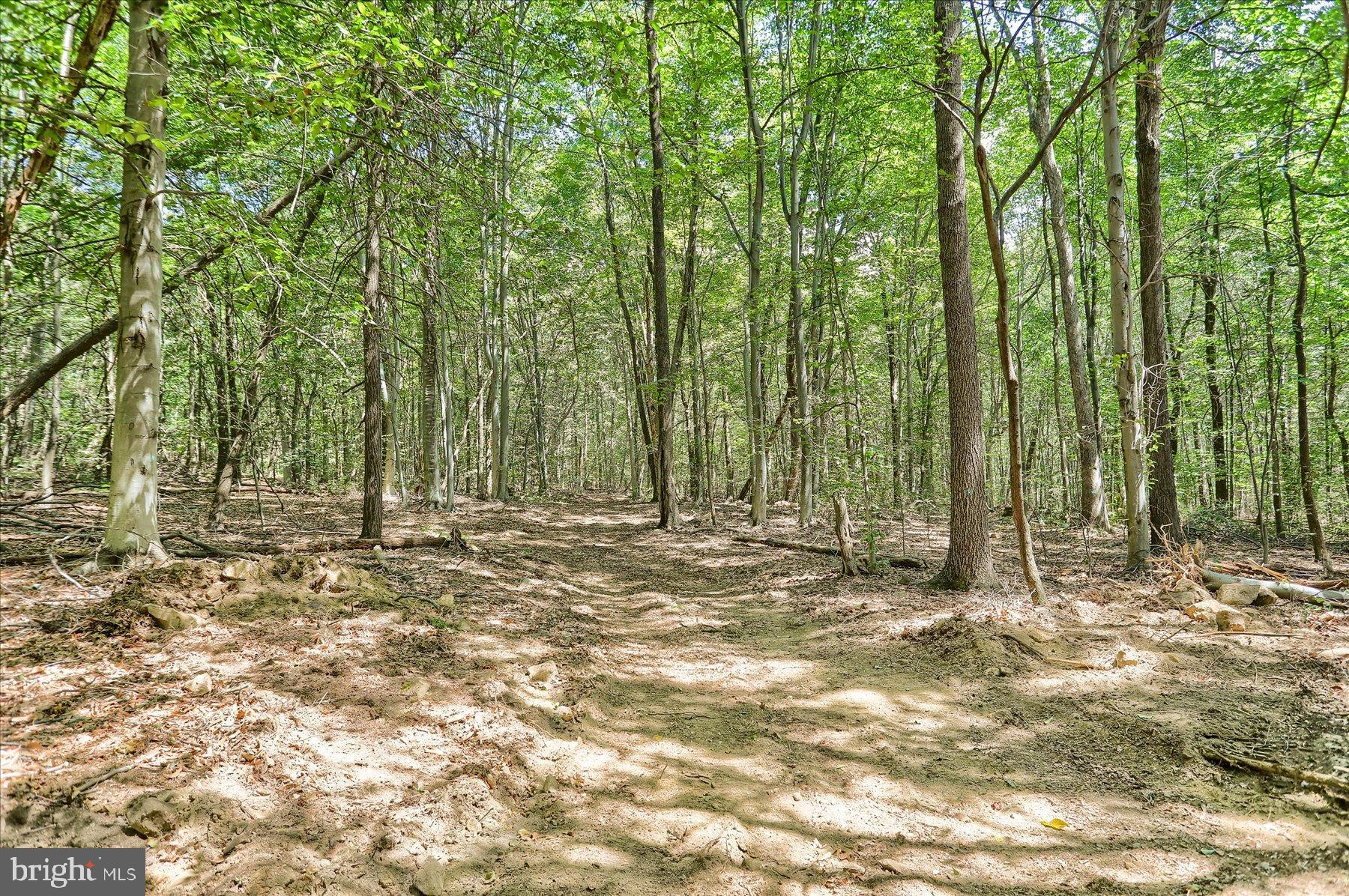 0 Pheasant Road Harrisburg, PA 17112 - Photo 14 of 42 a view of outdoor space with lots of trees
