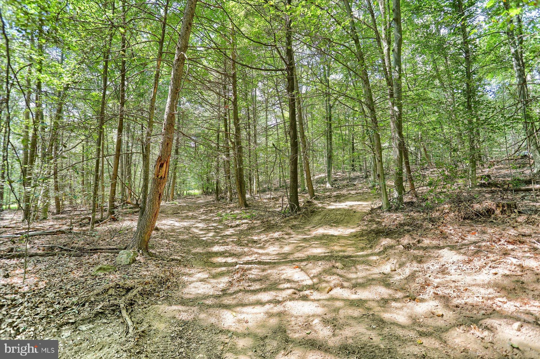 0 Pheasant Road Harrisburg, PA 17112 - Photo 15 of 42 a view of outdoor space with trees