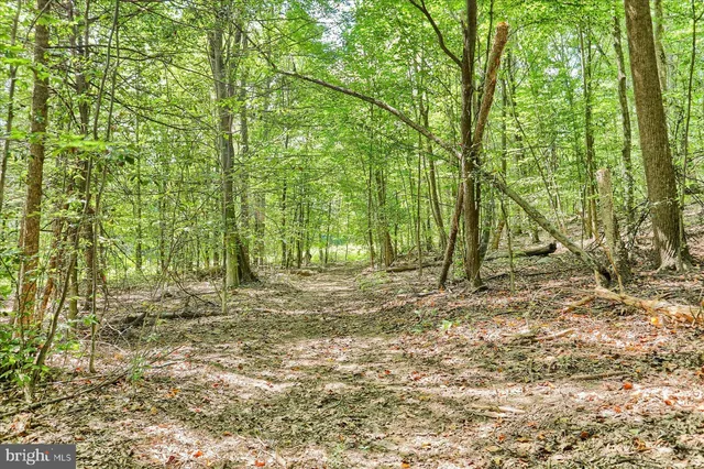 a view of outdoor space with trees