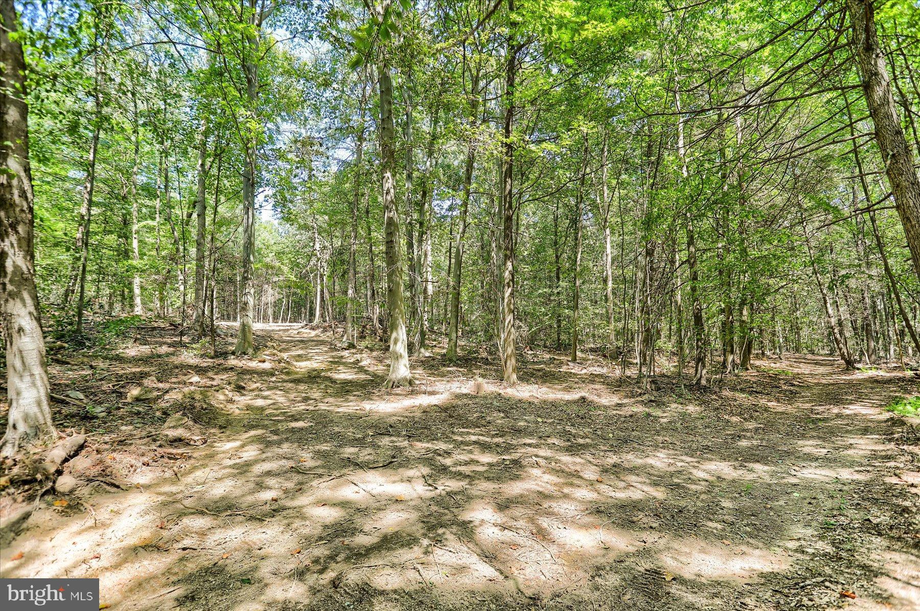 0 Pheasant Road Harrisburg, PA 17112 - Photo 17 of 42 a view of outdoor space with trees