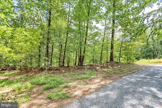a view of a yard with a tree