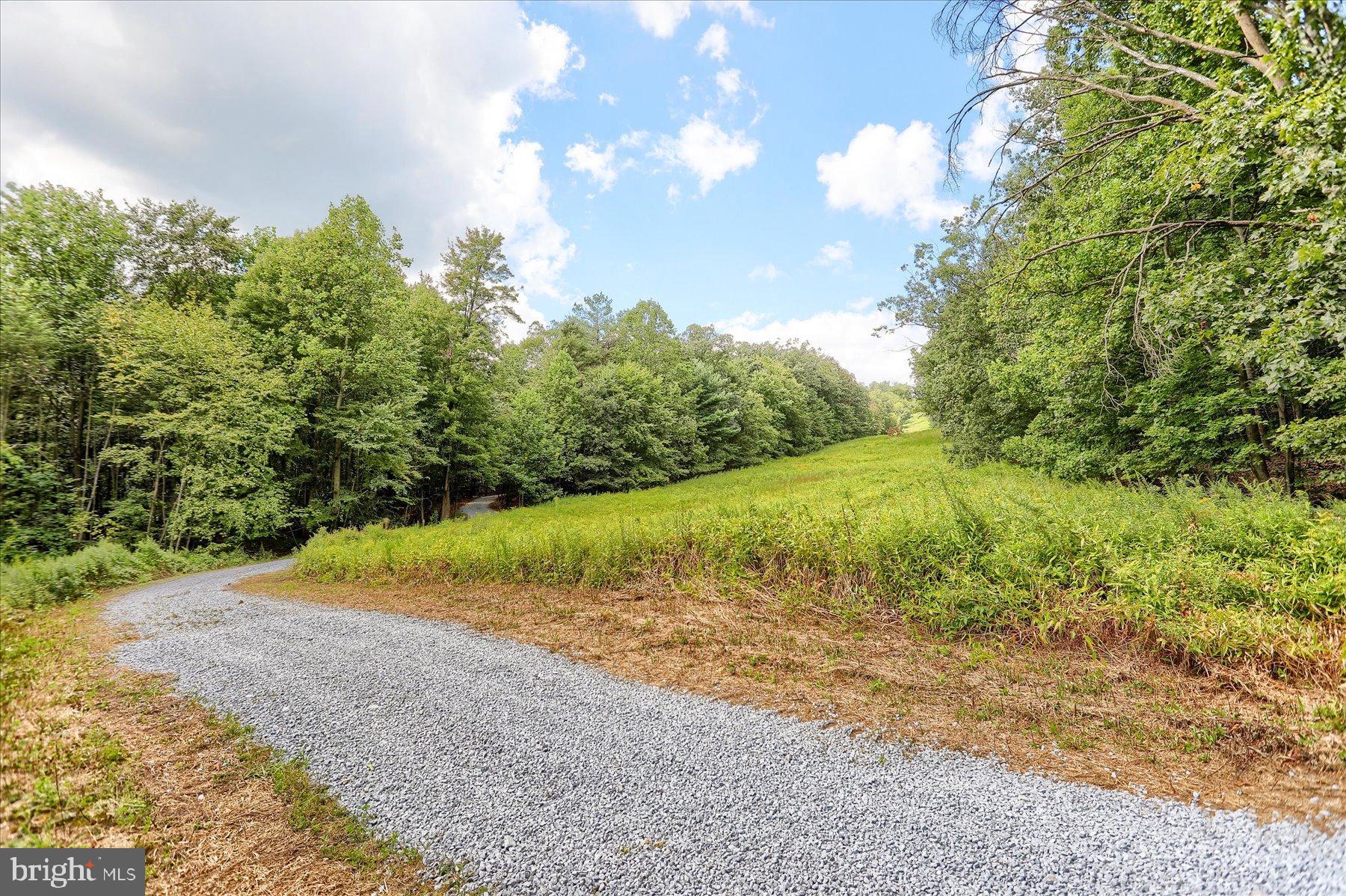 0 Pheasant Road Harrisburg, PA 17112 - Photo 19 of 42 a view of a yard with a tree