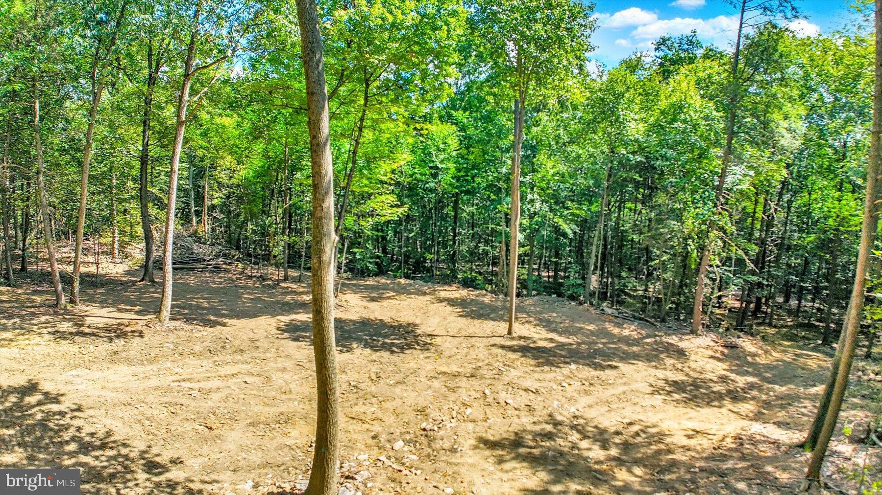 0 Pheasant Road Harrisburg, PA 17112 - Photo 20 of 42 a view of a backyard
