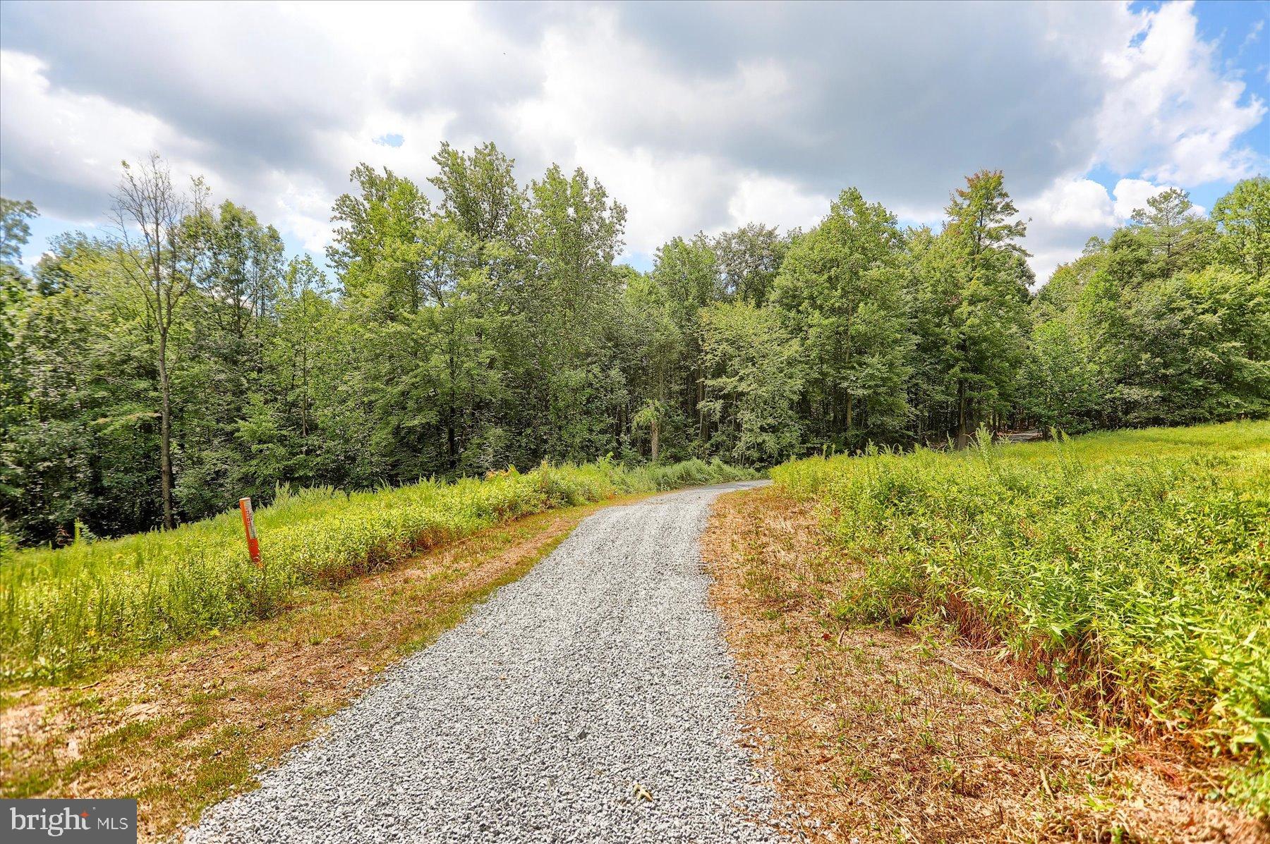 0 Pheasant Road Harrisburg, PA 17112 - Photo 2 of 42 a view of a yard with plants and large trees