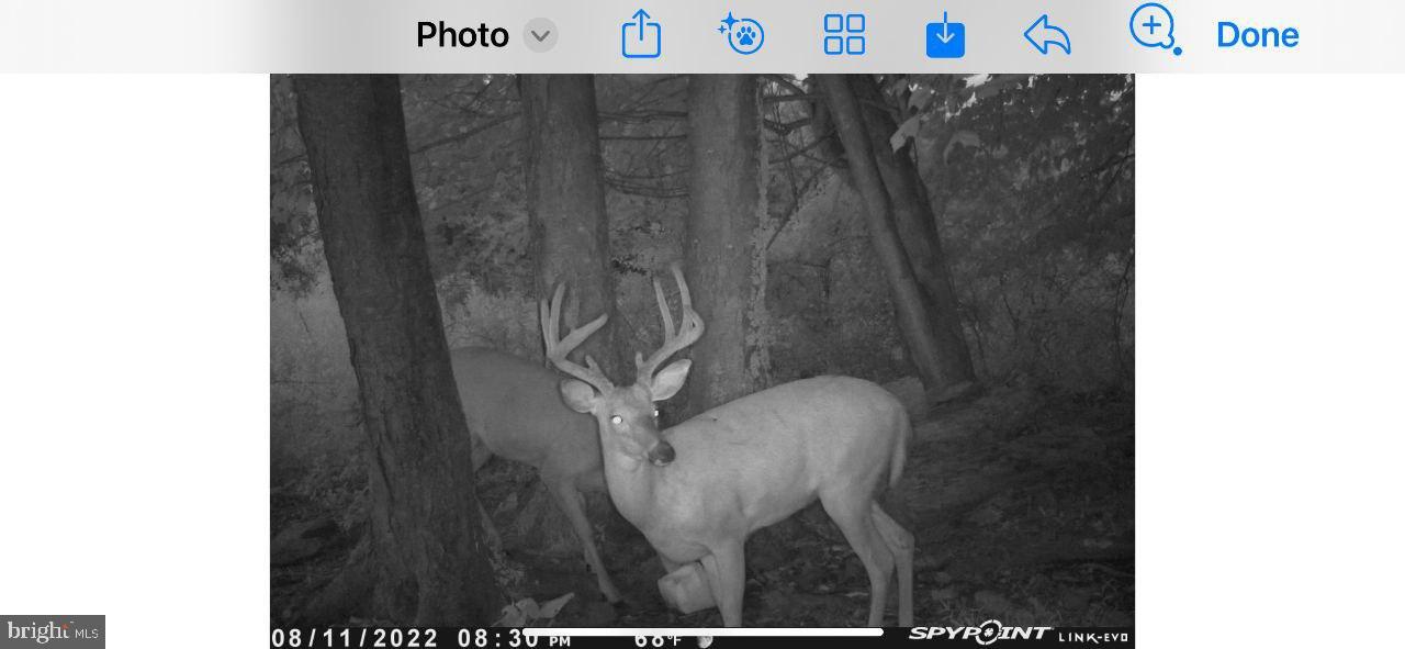 0 Pheasant Road Harrisburg, PA 17112 - Photo 22 of 42 a bathroom with a sink and mirror