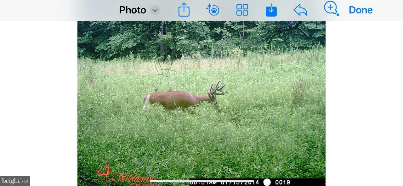 0 Pheasant Road Harrisburg, PA 17112 - Photo 23 of 42 a view of a lush green forest from a window