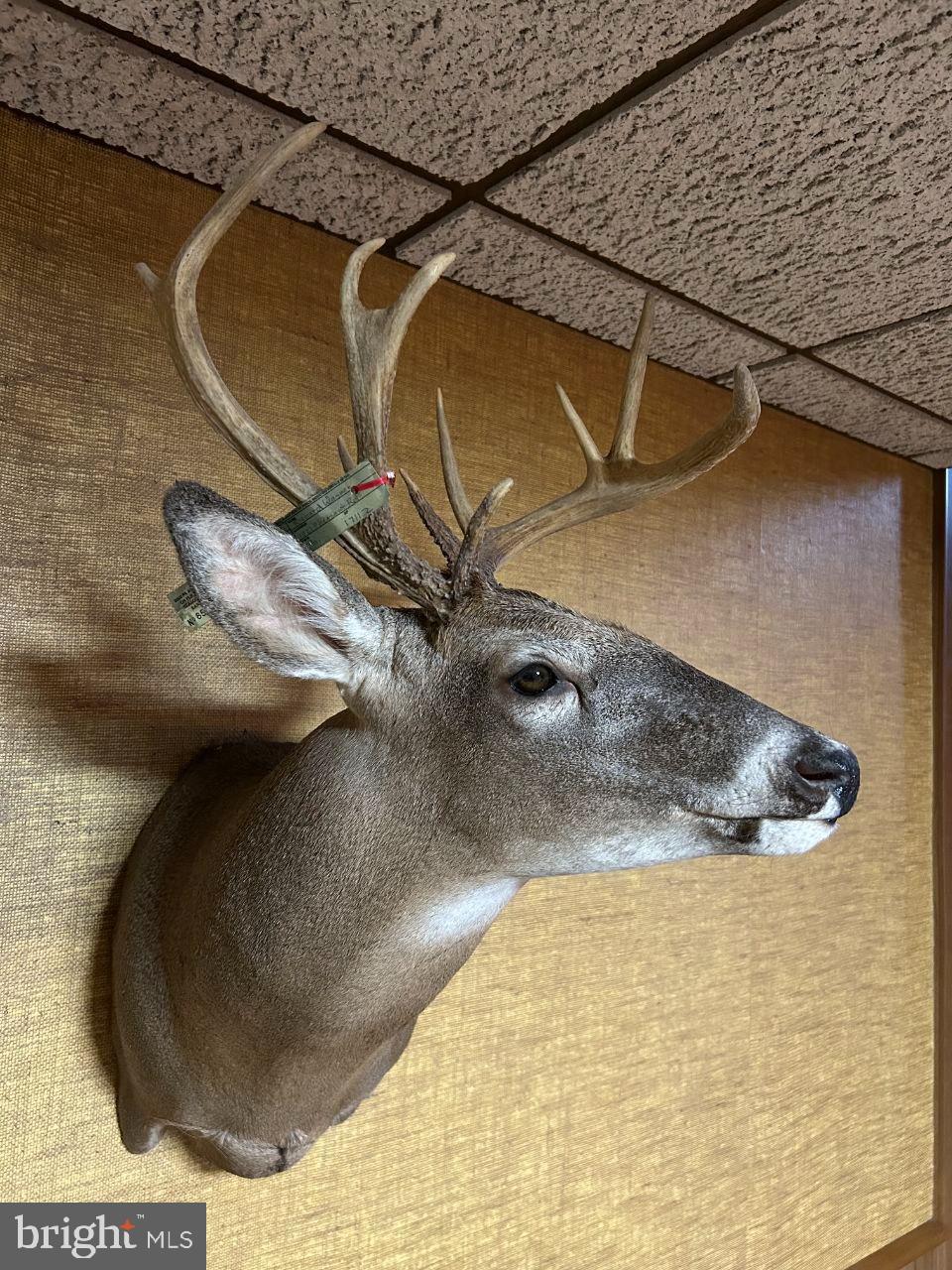 0 Pheasant Road Harrisburg, PA 17112 - Photo 24 of 42 a view of a air conditioner