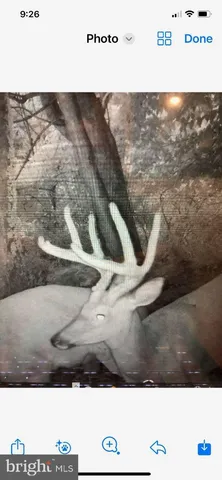 a vase of flowers sitting on a table