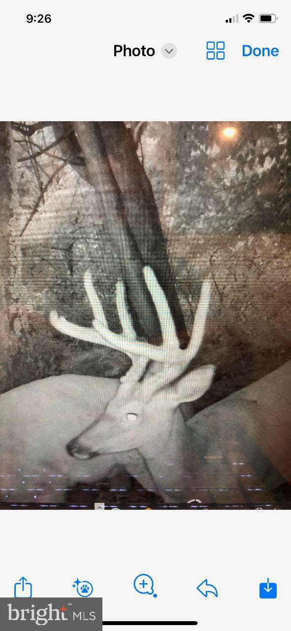 0 Pheasant Road Harrisburg, PA 17112 - Photo 25 of 42 a view of outdoor space