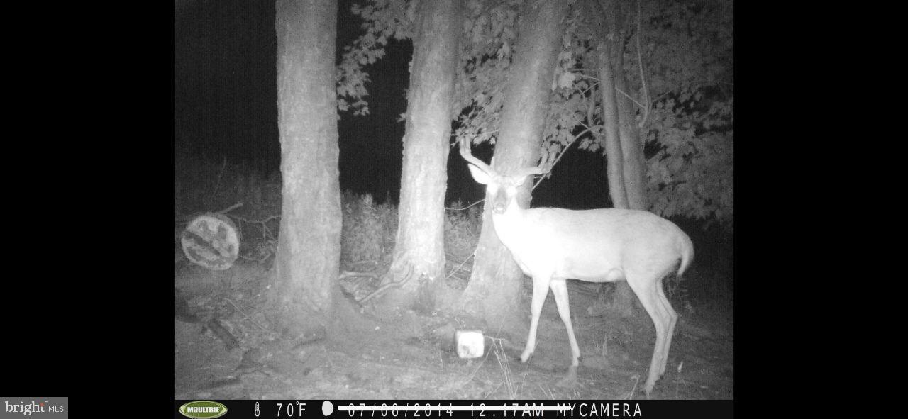 0 Pheasant Road Harrisburg, PA 17112 - Photo 26 of 42 a vase of flowers sitting on a table