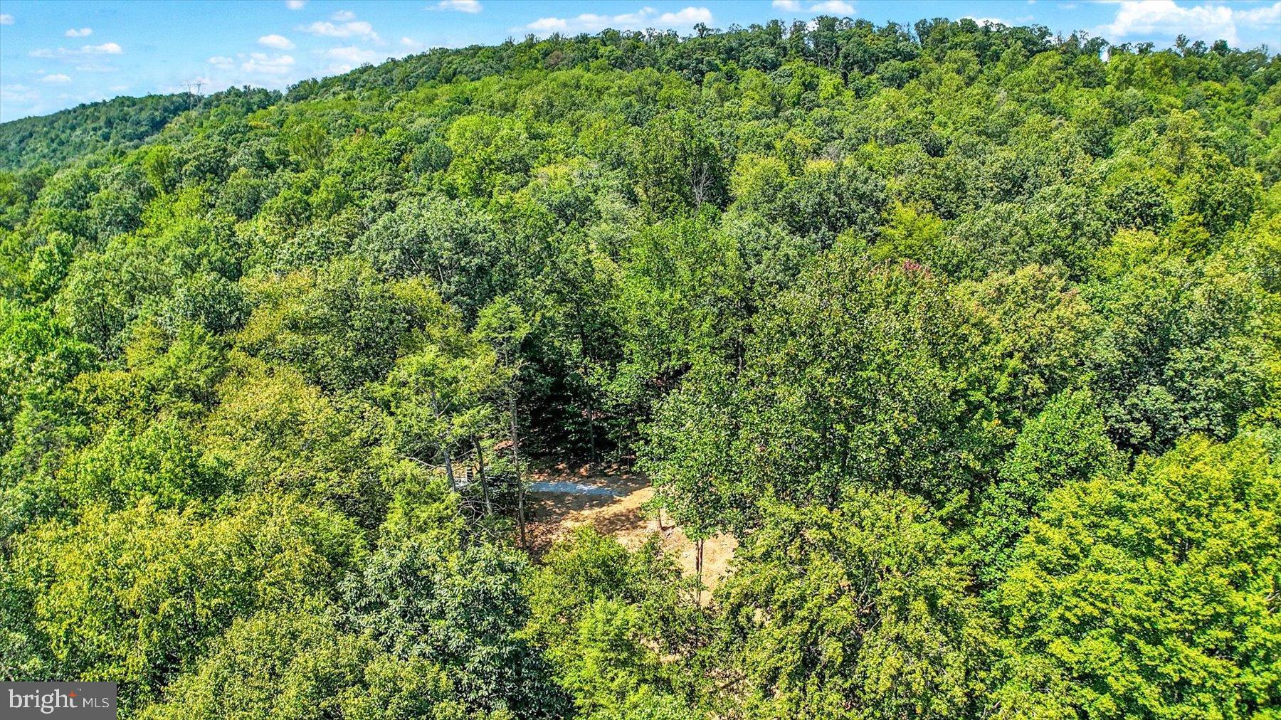 0 Pheasant Road Harrisburg, PA 17112 - Photo 27 of 42 a view of a lush green forest