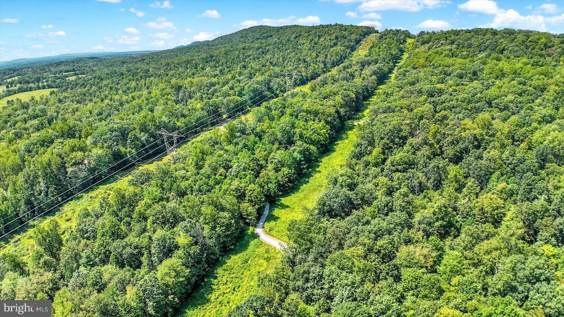 0 Pheasant Road Harrisburg, PA 17112 - Photo 29 of 42 a view of a garden
