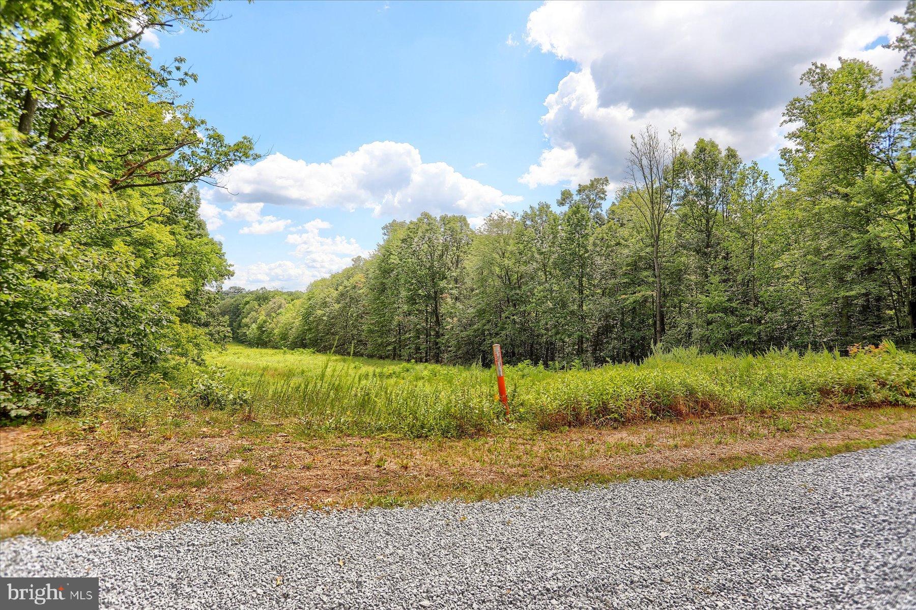 0 Pheasant Road Harrisburg, PA 17112 - Photo 3 of 42 a view of a yard
