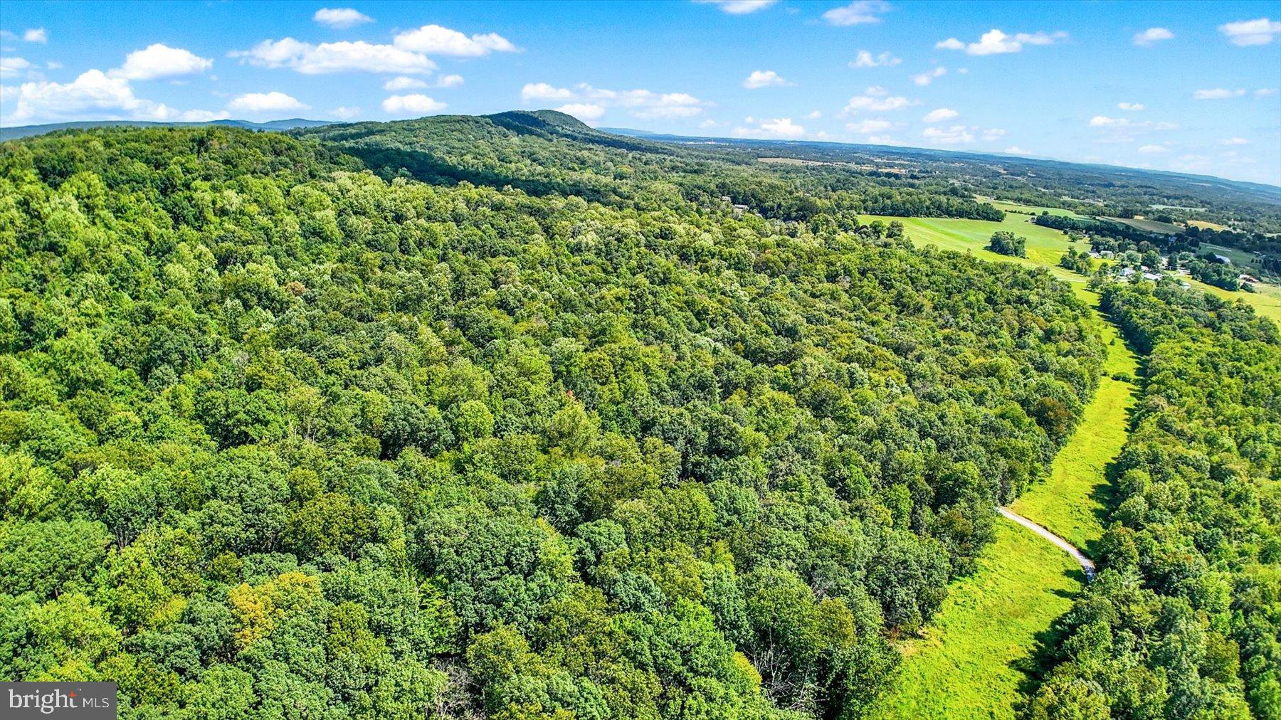 0 Pheasant Road Harrisburg, PA 17112 - Photo 32 of 42 a view of a green yard with large trees