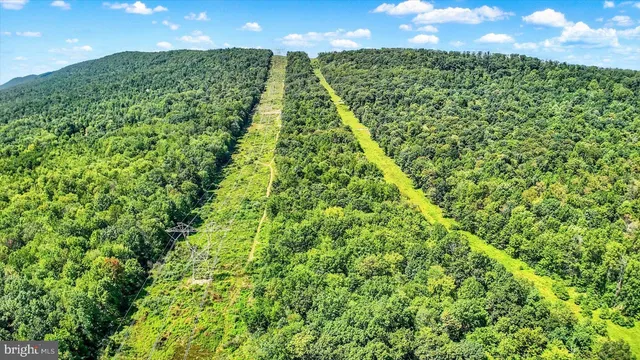 a view of a yard with plants