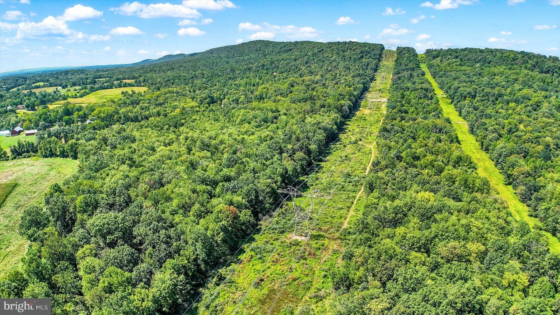 0 Pheasant Road Harrisburg, PA 17112 - Photo 34 of 42 a view of a garden