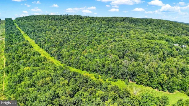a view of a city with an ocean