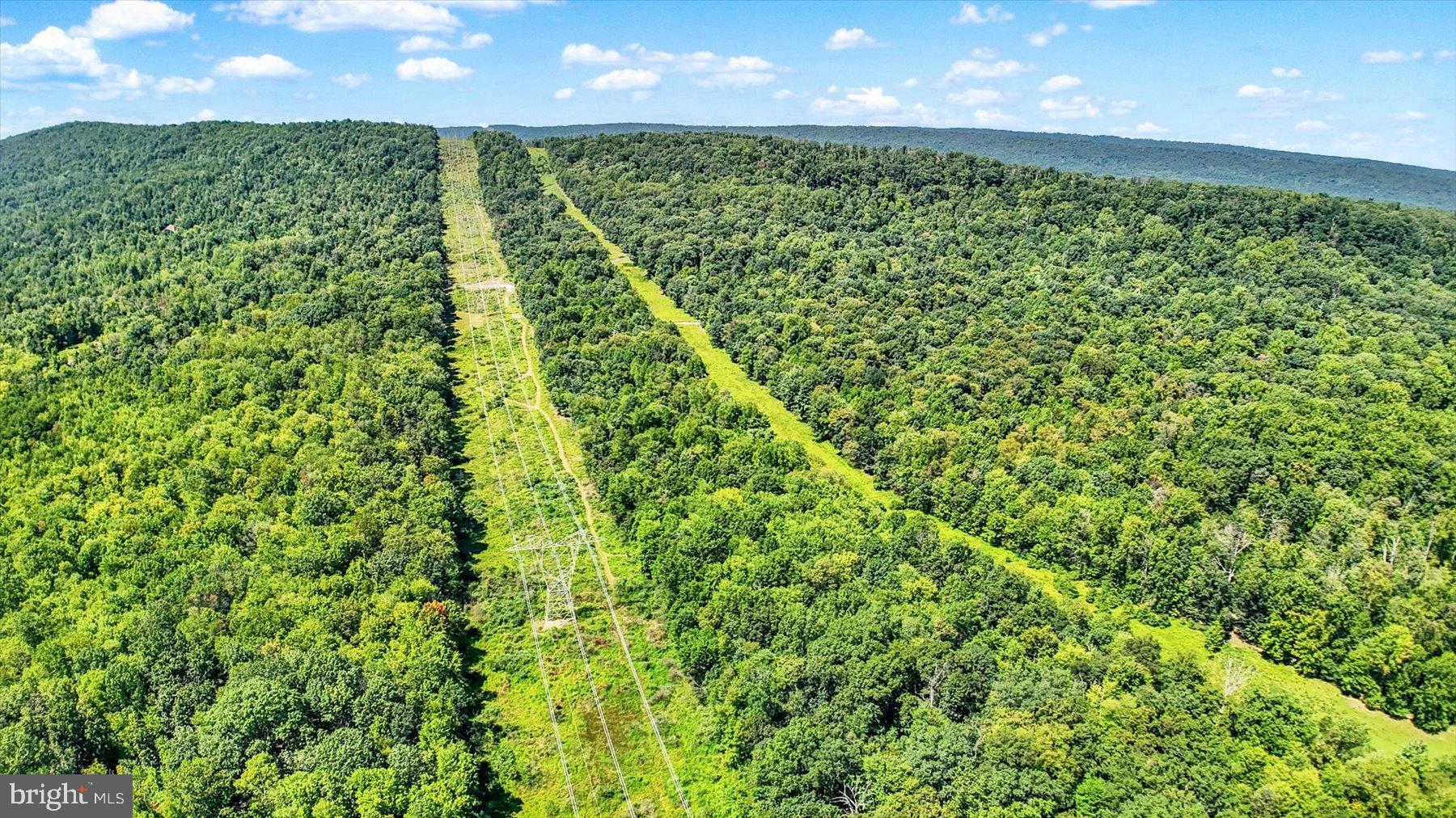 0 Pheasant Road Harrisburg, PA 17112 - Photo 36 of 42 a view of a yard with plants