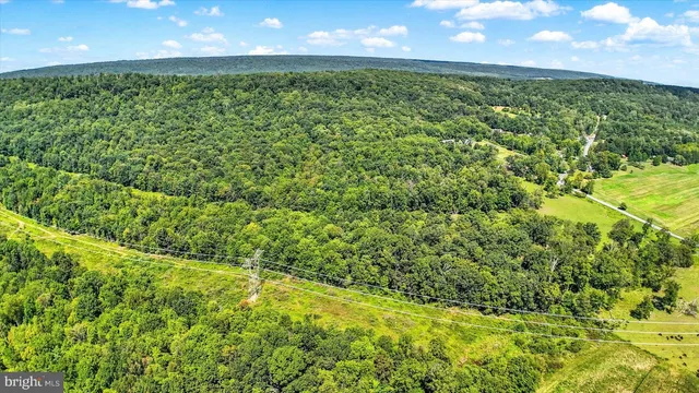 a view of a yard with basketball court